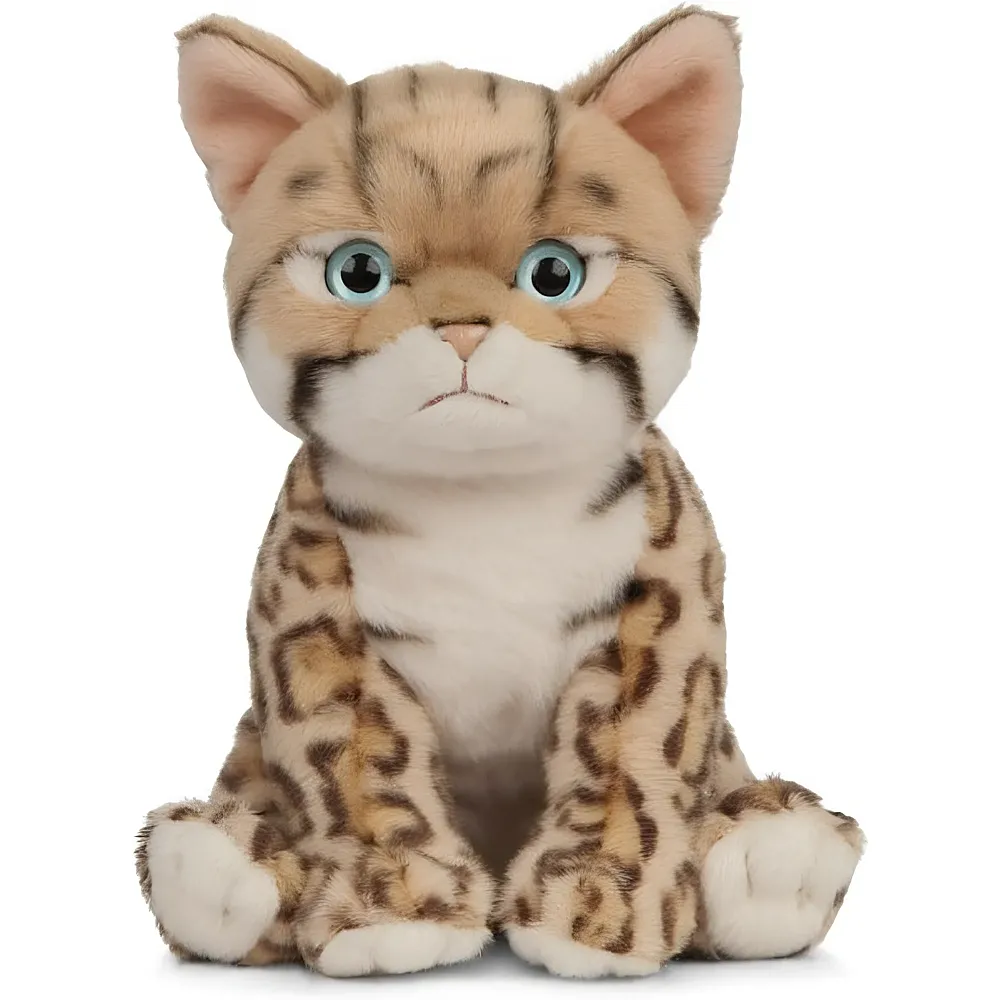 Living Nature Bengalisches K�tzchen - 16 cm