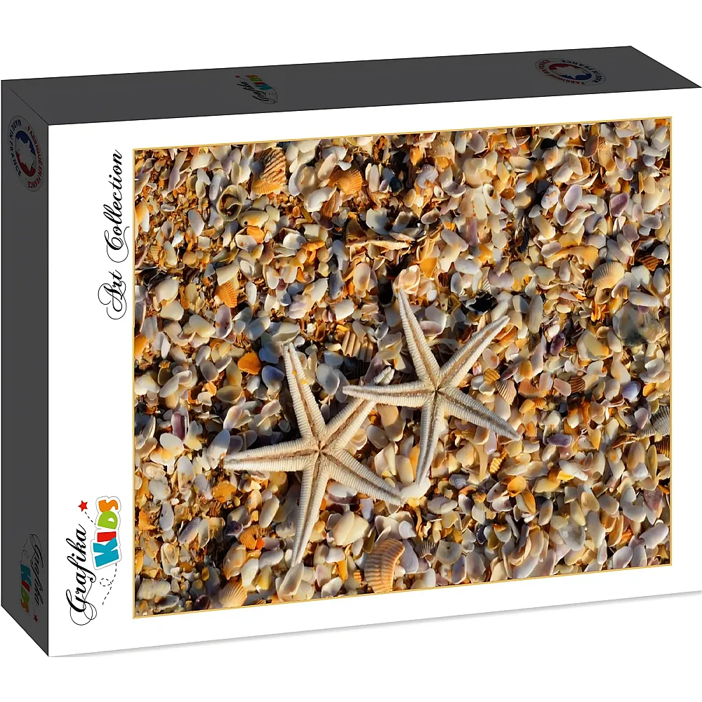 Grafika Puzzle Art Collection Grafika Kids Shells and Starfish - 104 Teile