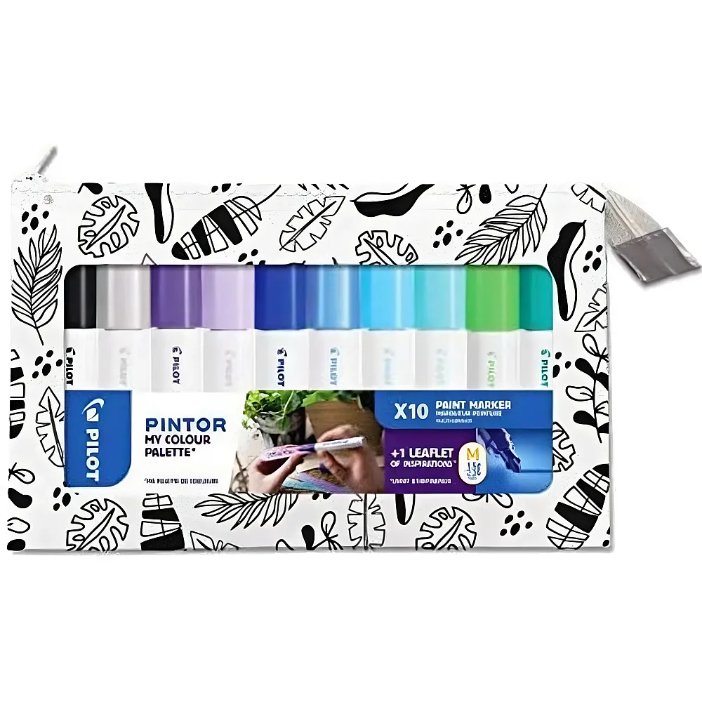 Pilot Pintor Medium Color Palette - Cool