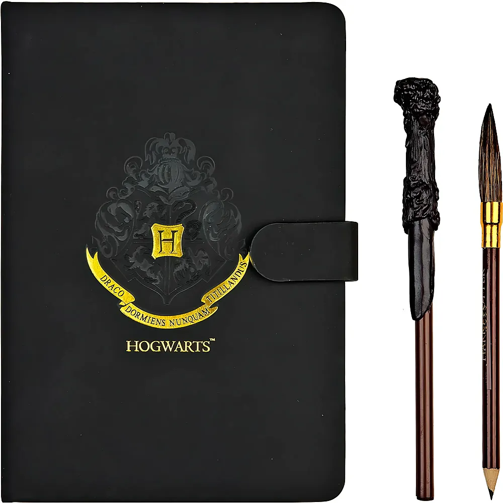 Undercover Tagebuchset Harry Potter - Suche