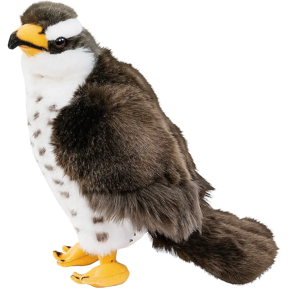 Teddys Rothenburg Falke - 23 cm
