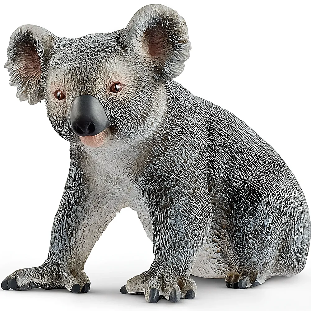 Schleich Wild Life Koalabr | Wildtiere
