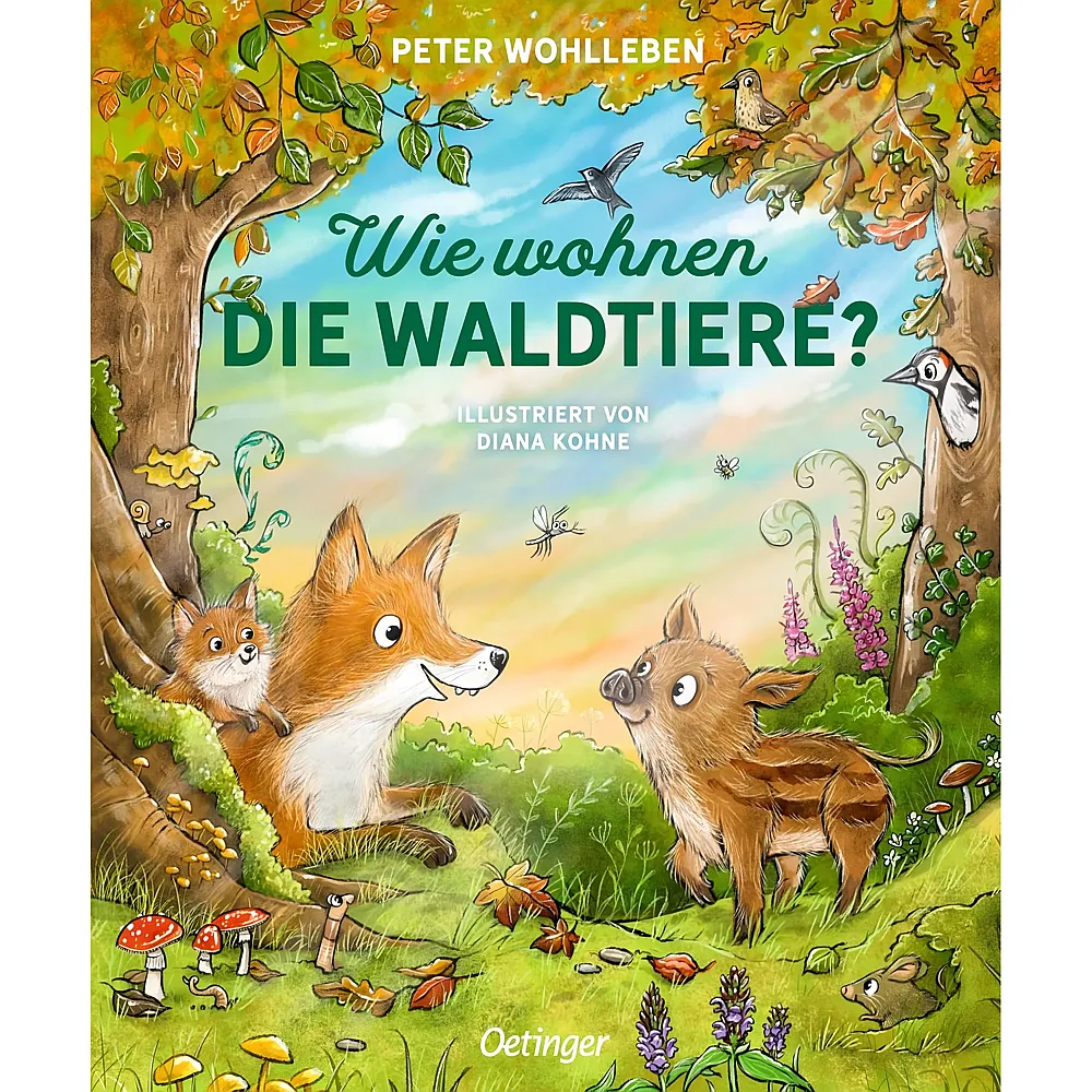 Oetinger Wie wohnen die Waldtiere