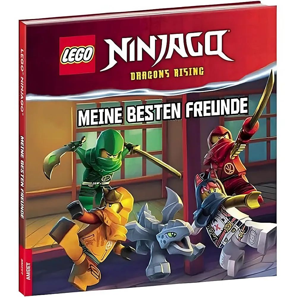 Ameet LEGO Ninjago Meine besten Freunde