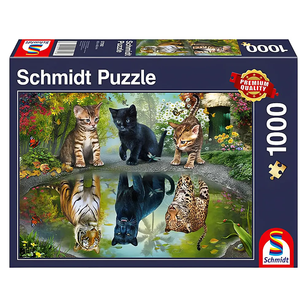 Schmidt Puzzle Dream Big 1000Teile