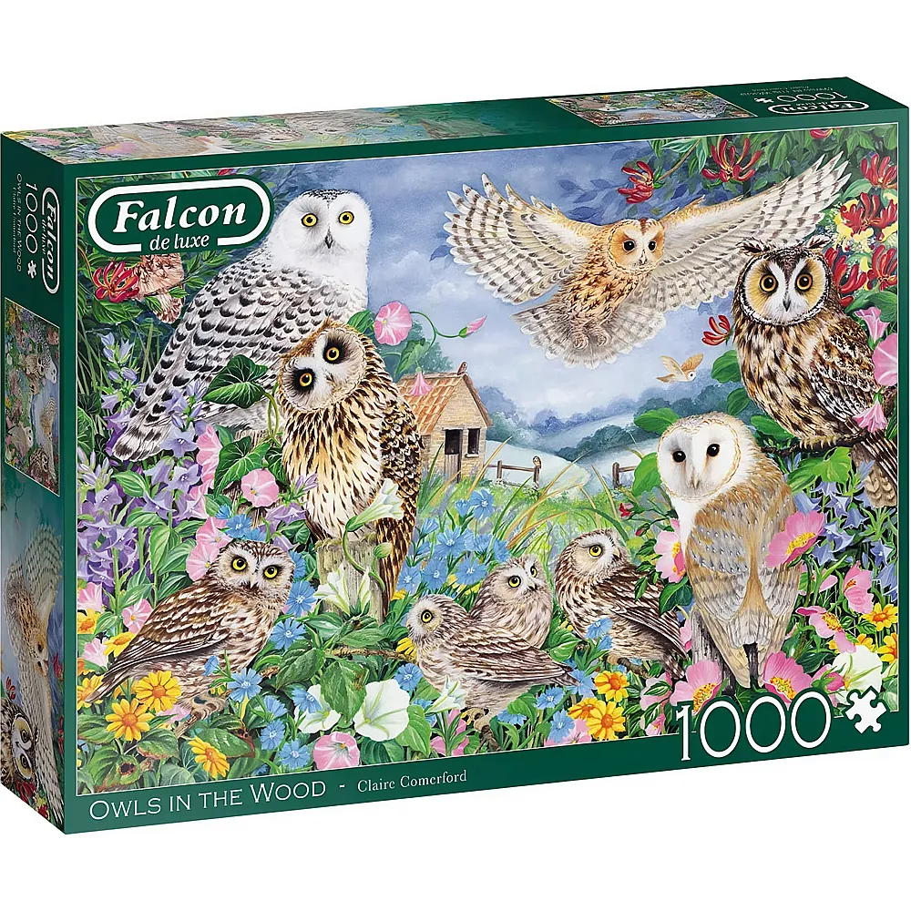 Falcon Puzzle Claire Comerford Owls in the Woods 1000Teile