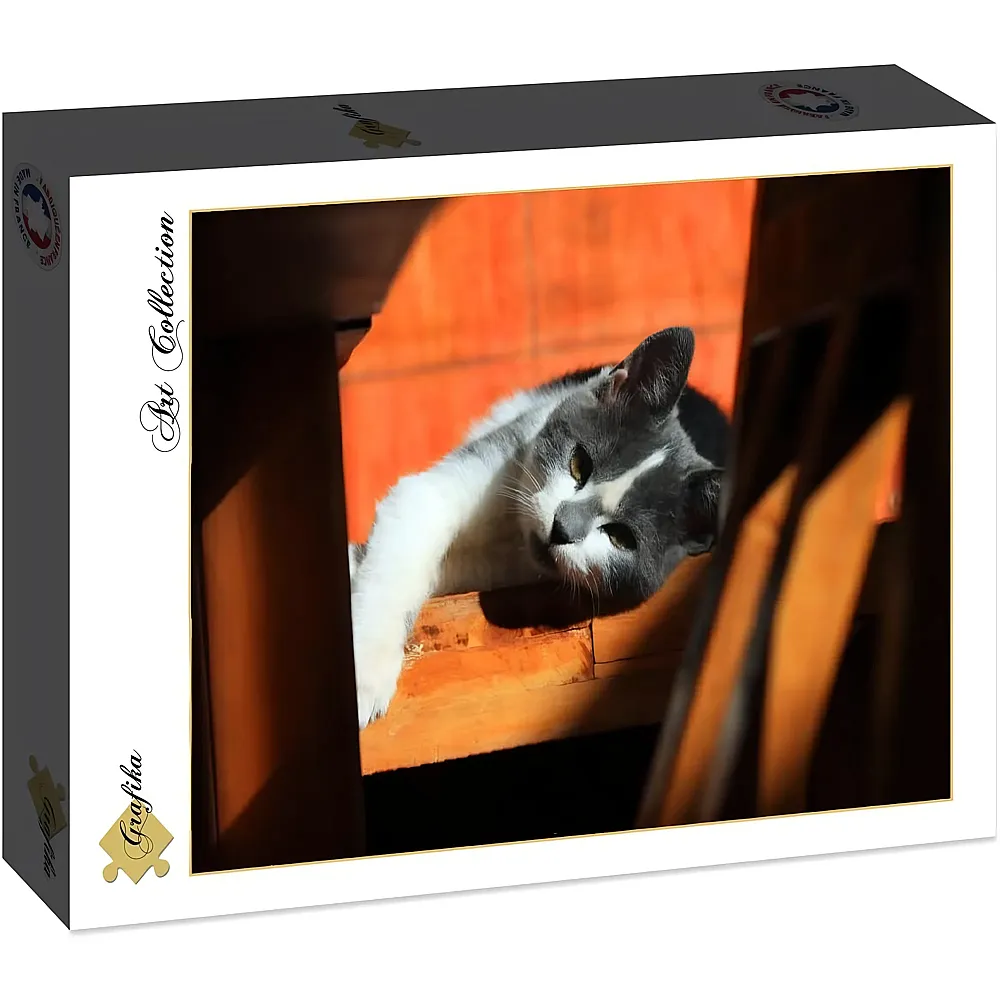 Grafika Puzzle Art Collection K�tzchen - 2000 Teile