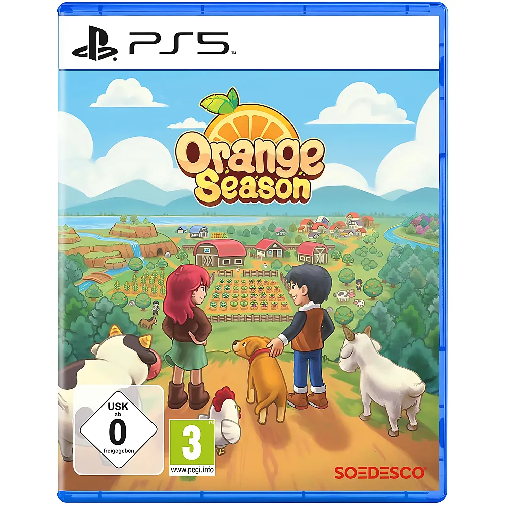 Soedesco PS5 Orange Season