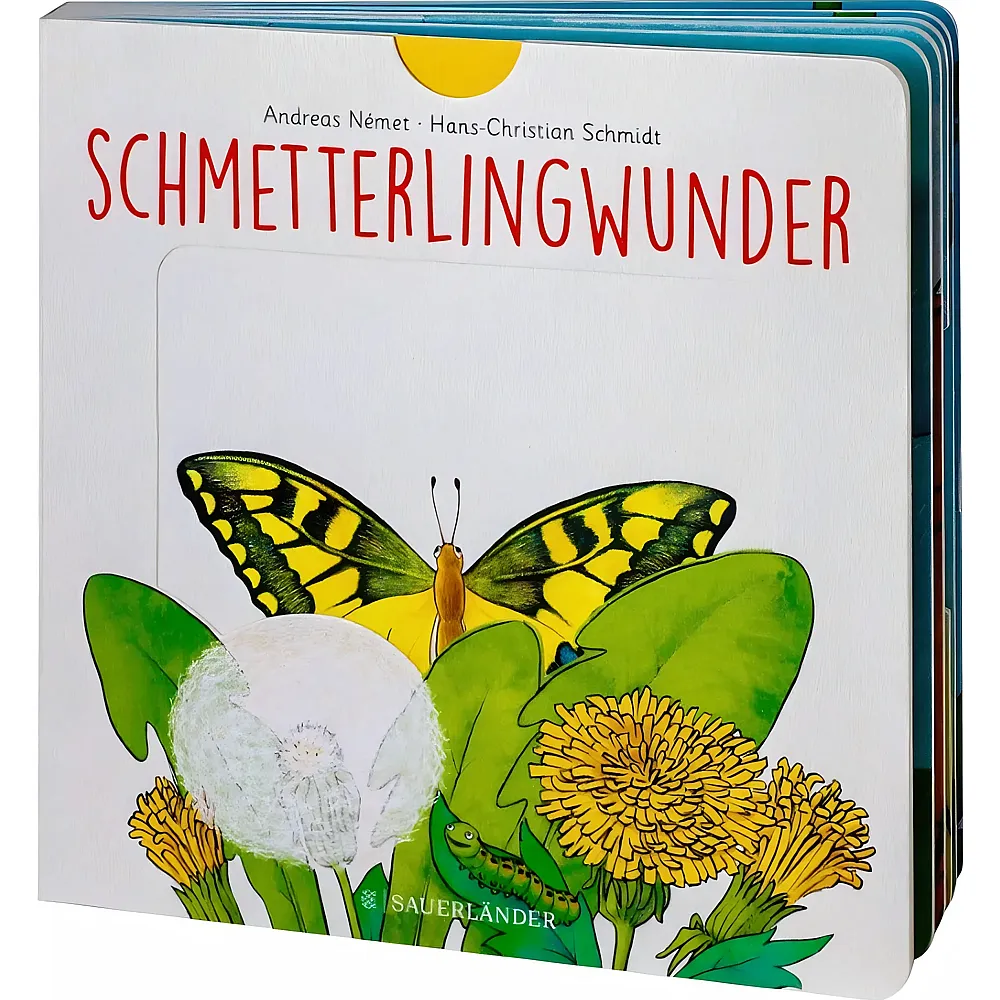 Sauerl�nder Schmetterlingwunder - Deutsch