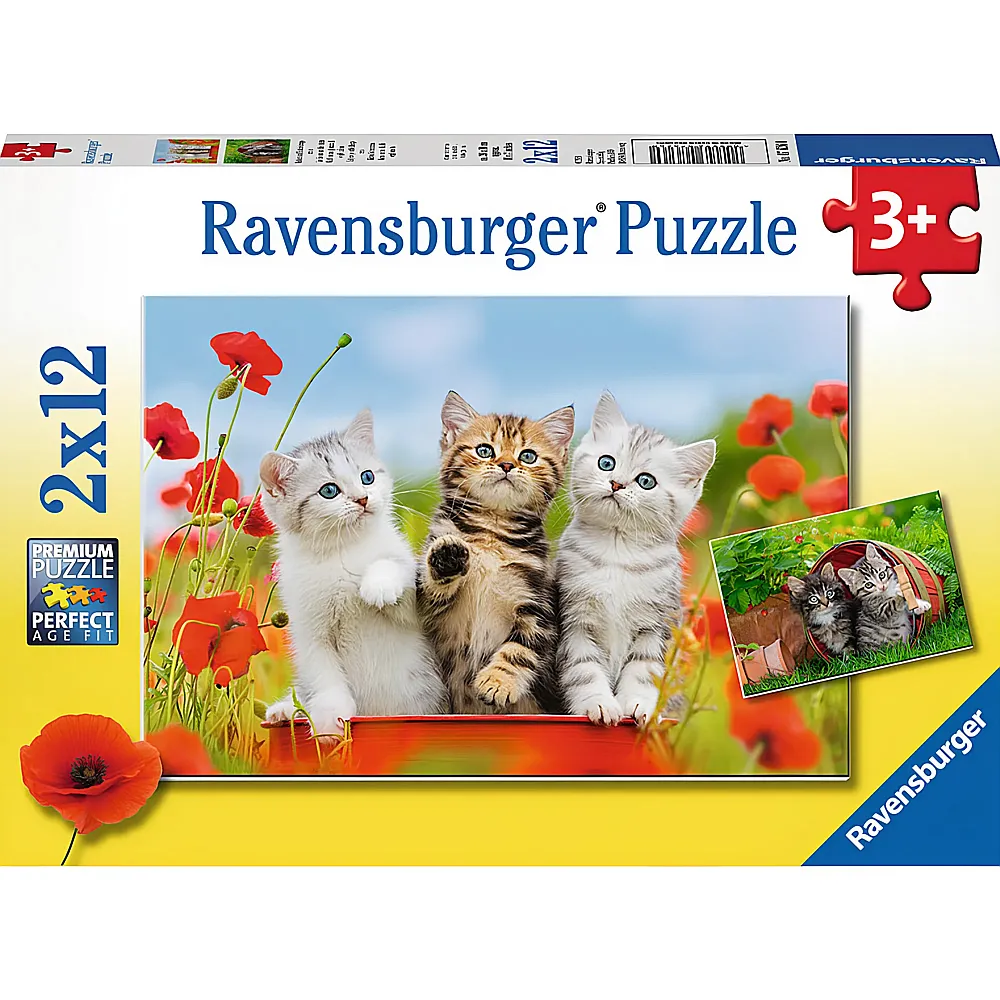 Ravensburger Puzzle Katzen auf Entdeckungsreise 2x12