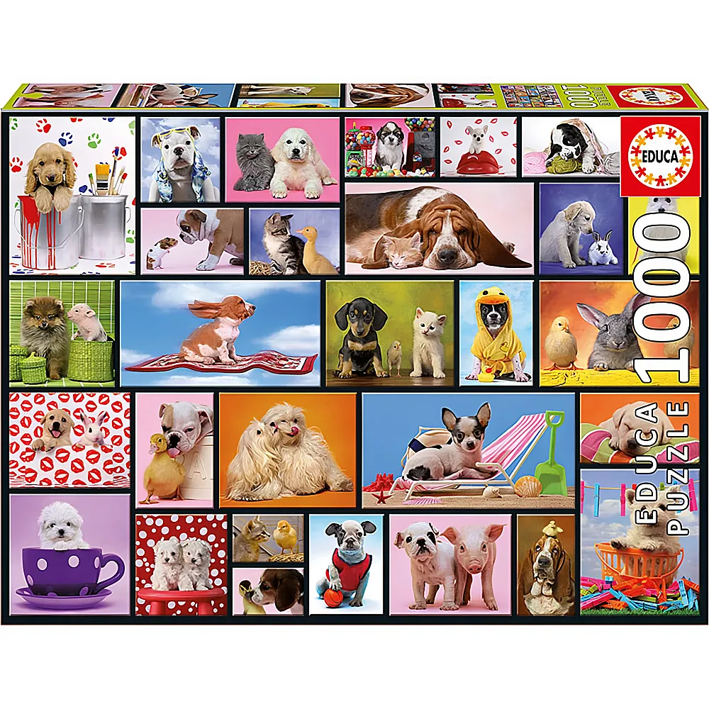 Educa Puzzle Shared Moments 1000Teile