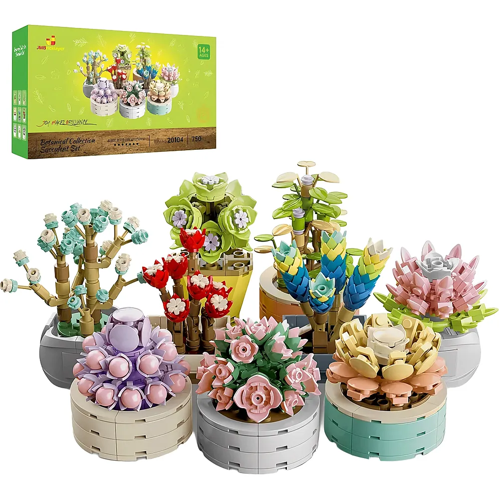 JMBricklayer Home Decor Succulent Sets 20104