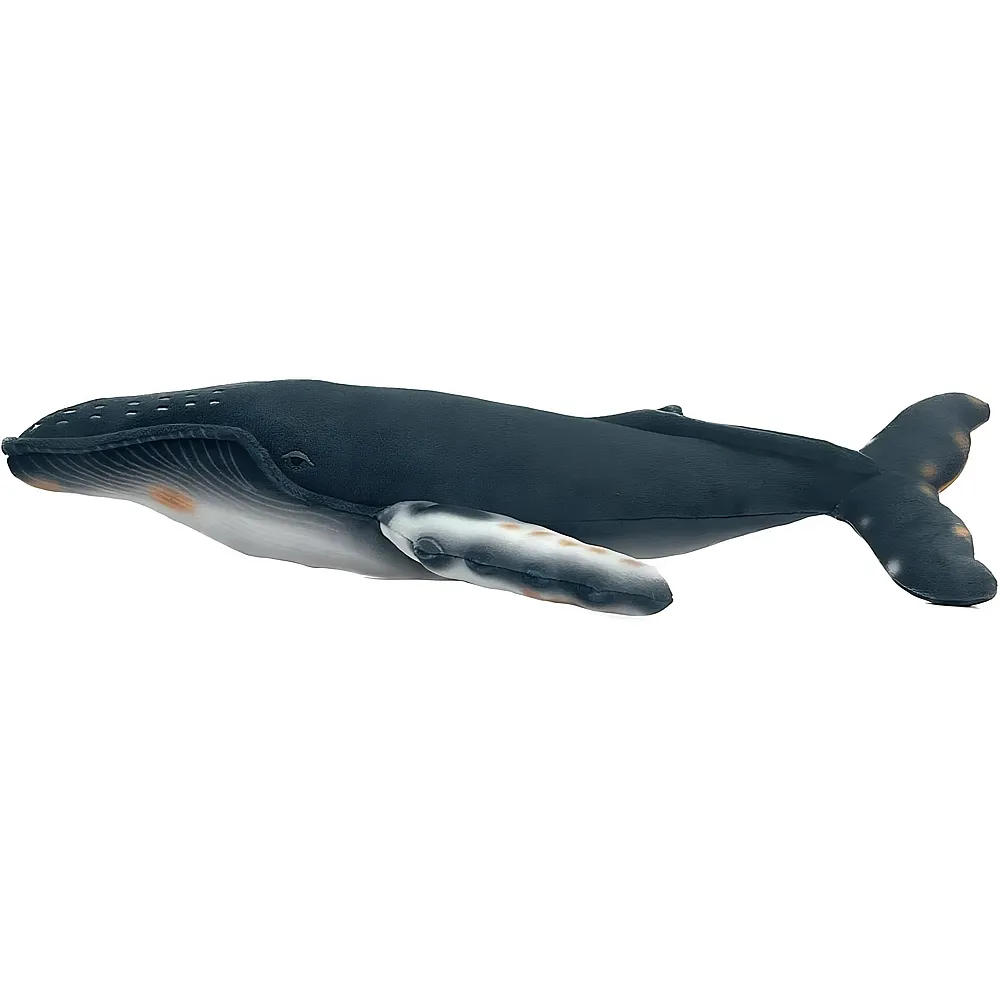 Deqube Buckelwal - 34 cm