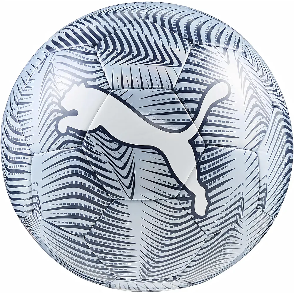 Puma Ball  FINAL Graphic - Suche