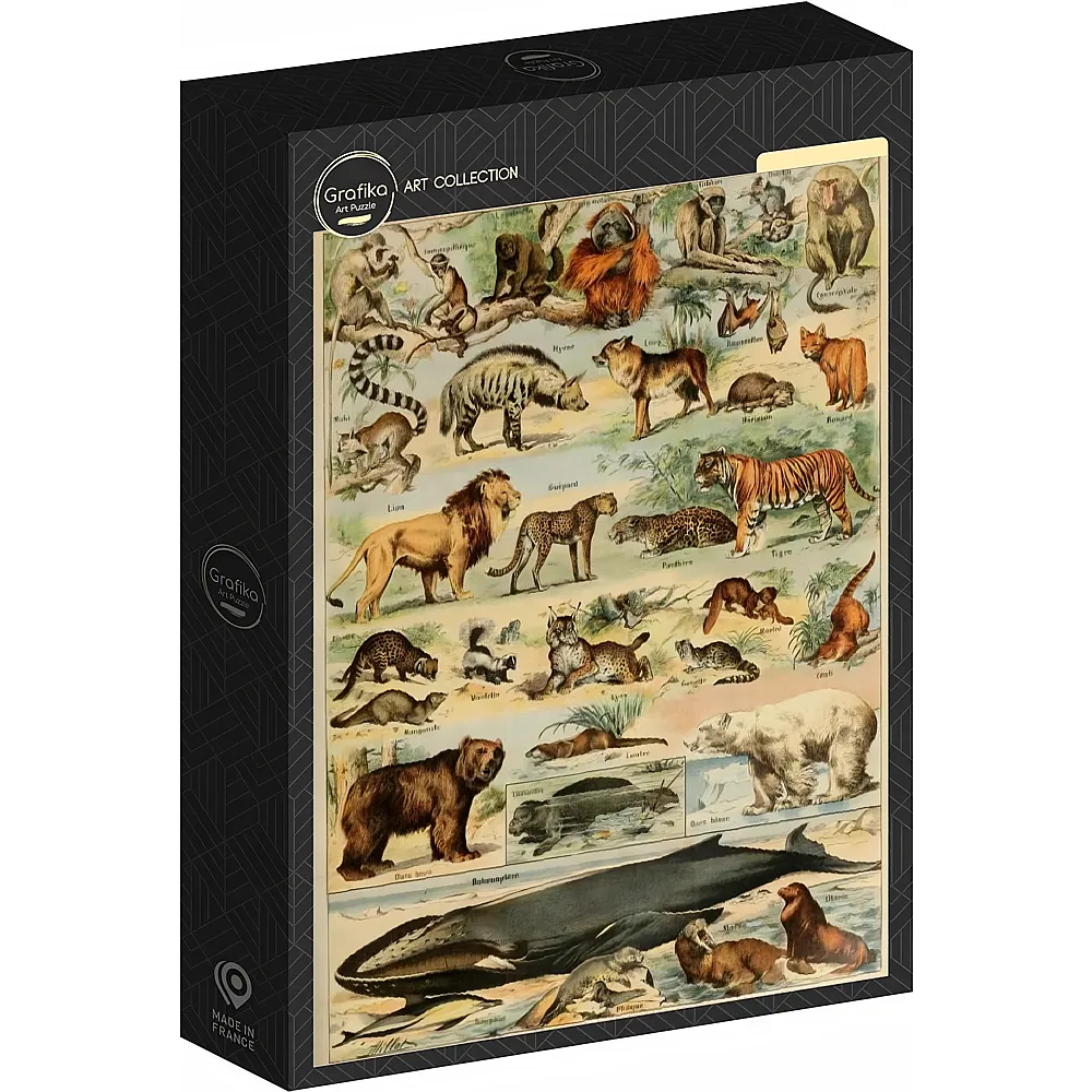 Grafika Puzzle Art Collection Abbildung aus dem Larousse pour Tous : S�ugetiere, 19. Jahrhundert 1000Teile