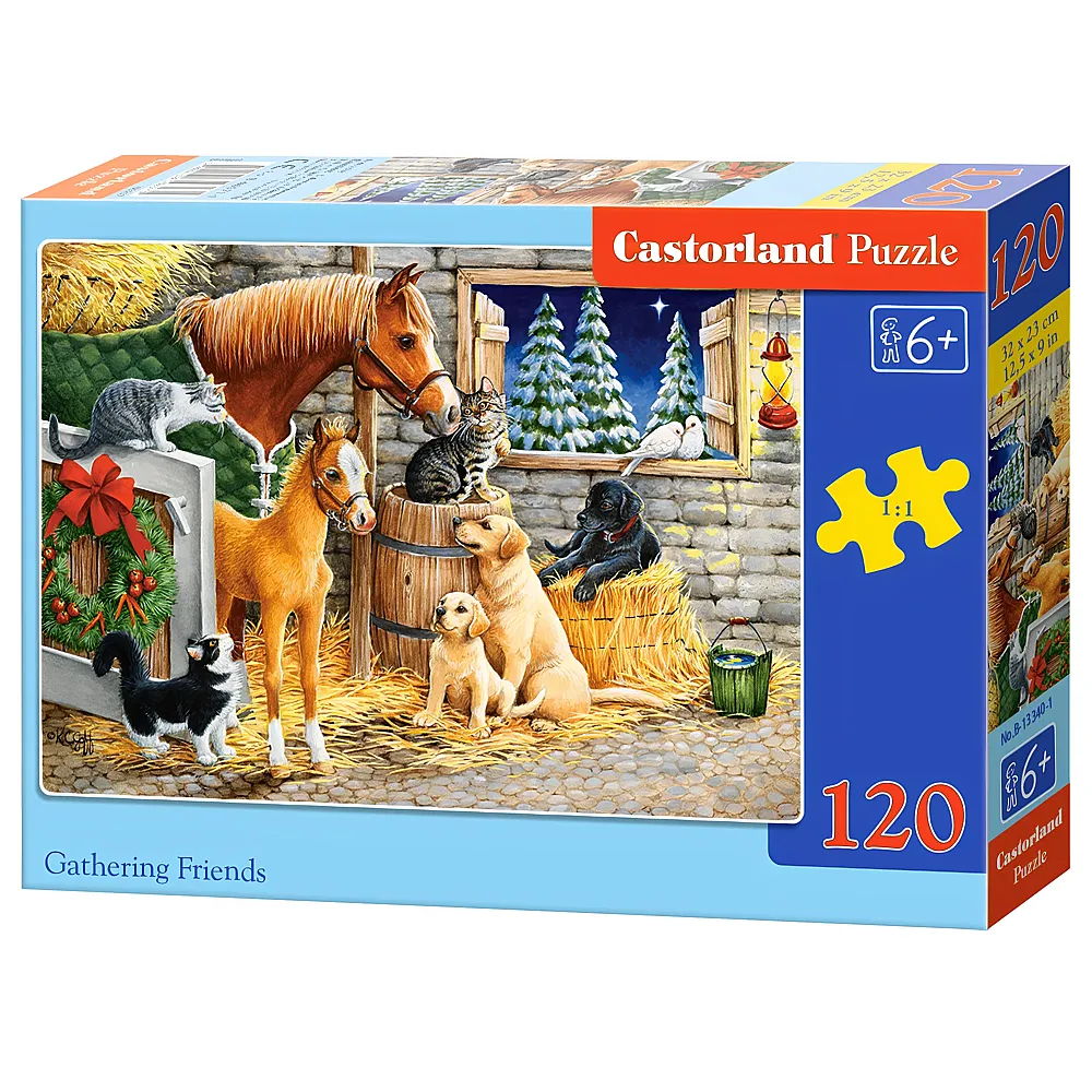 Castorland Puzzle Gathering Friends - 120 Teile