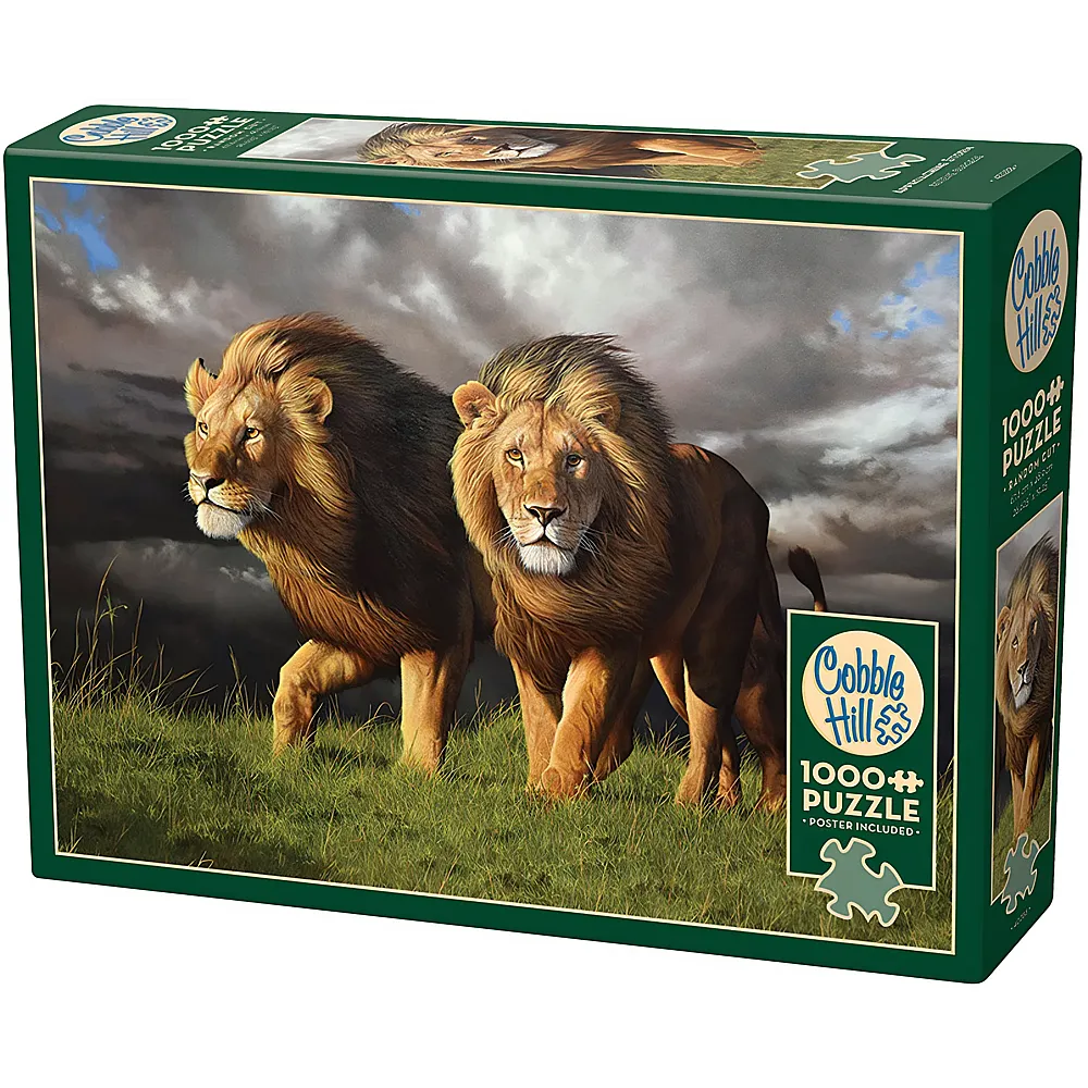 Cobble Hill Puzzle Herannahender Sturm - 1000 Teile