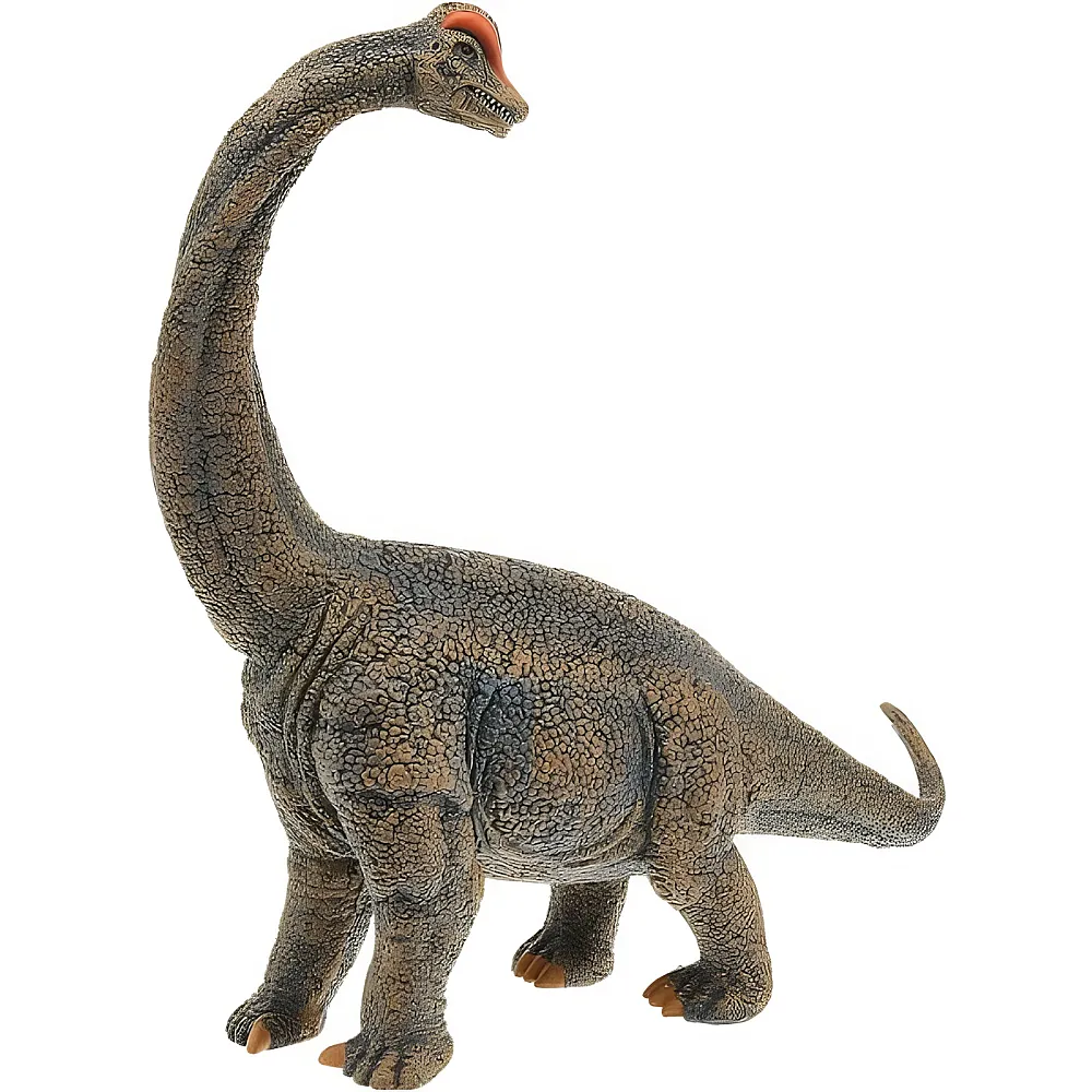 CollectA Prehistoric World Brachiosaurus Deluxe 1:40