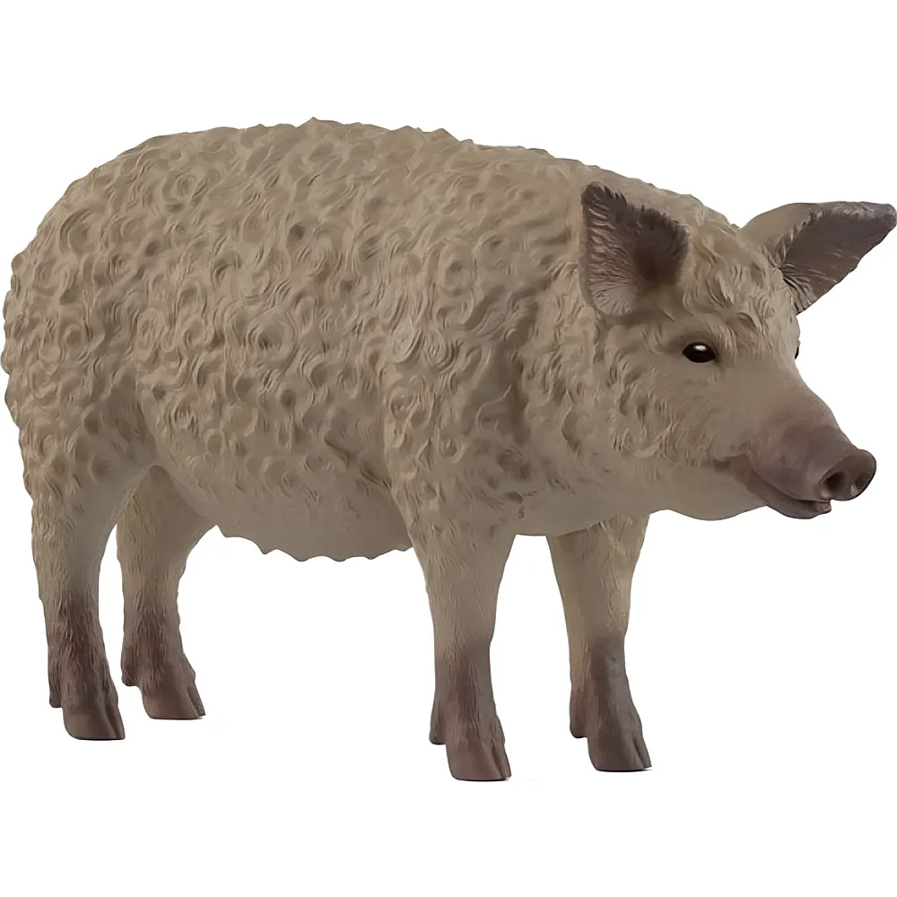 meinspielzeug - Schleich Farm World Wollschwein | Bauernhoftiere