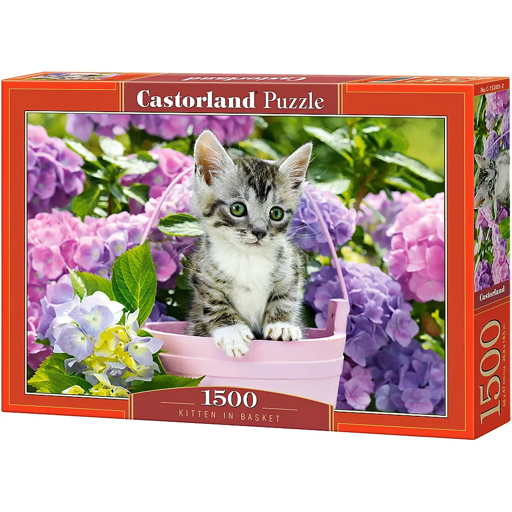 Castorland Puzzle K�tzchen im Korb - 1500 Teile