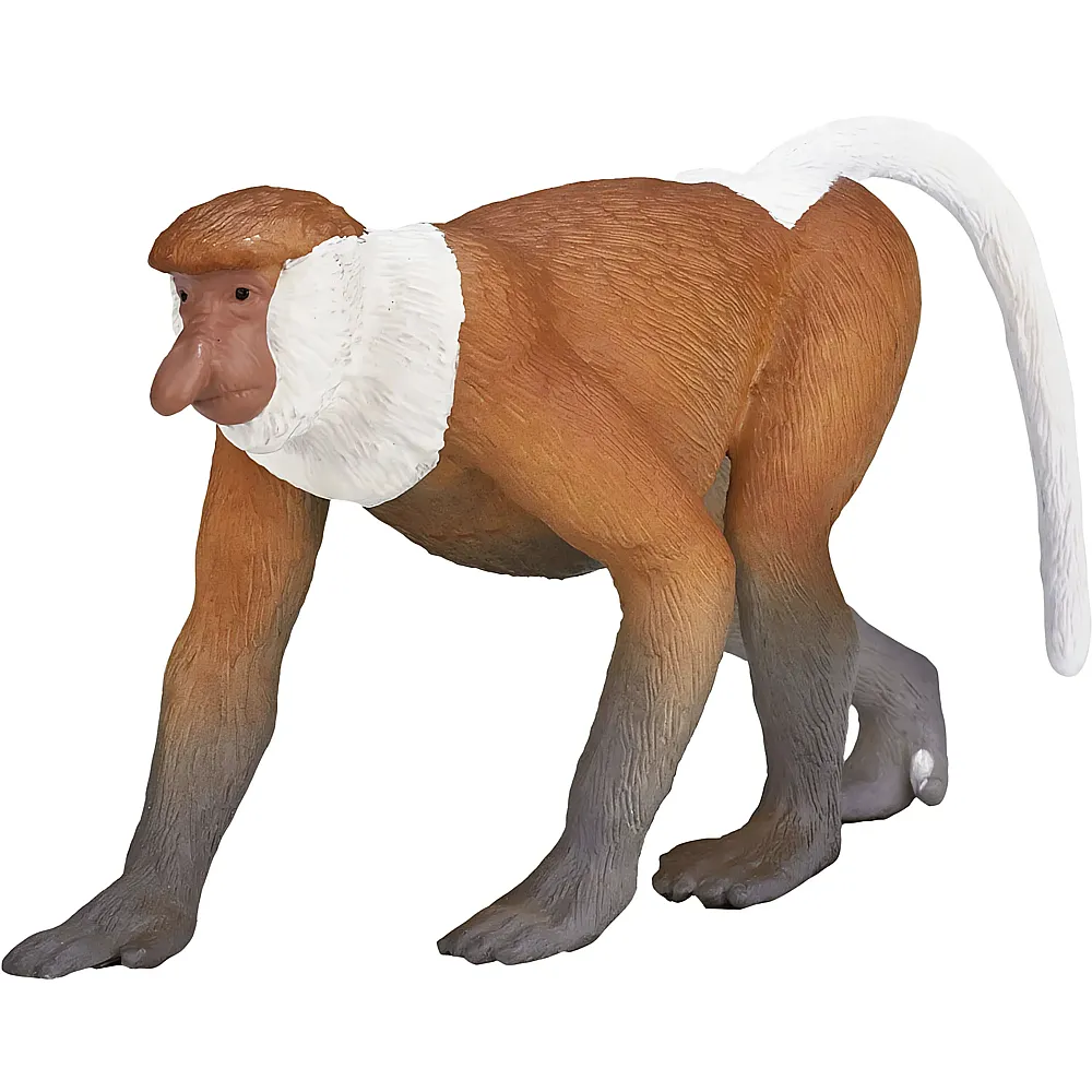 Mojo Wildlife Nasenaffe