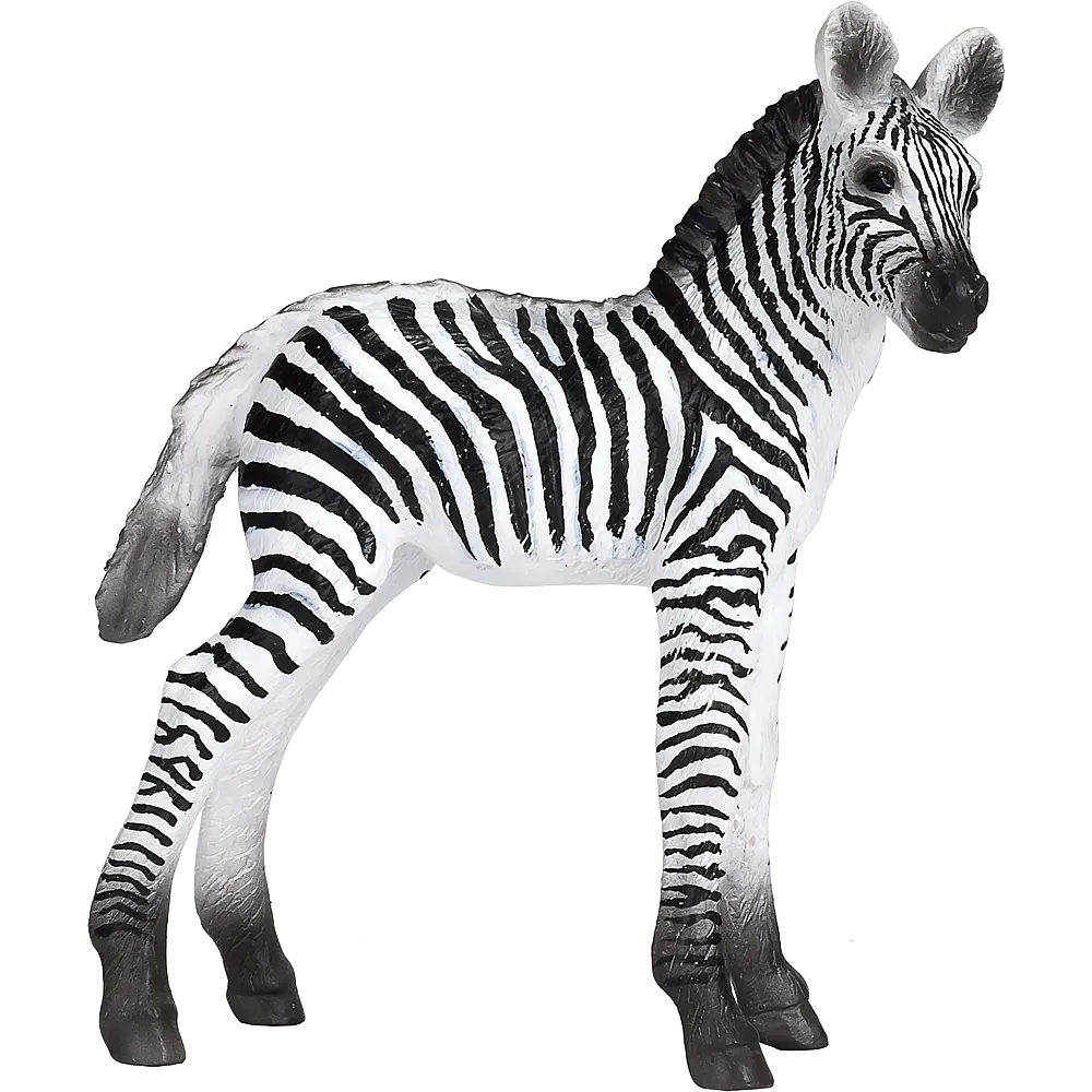 Mojo Wildlife Zebrafohlen