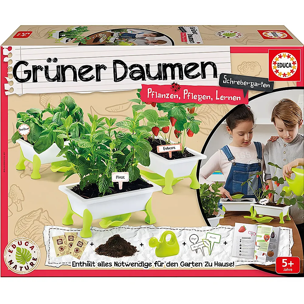 Educa Grner Daumen Salat DE