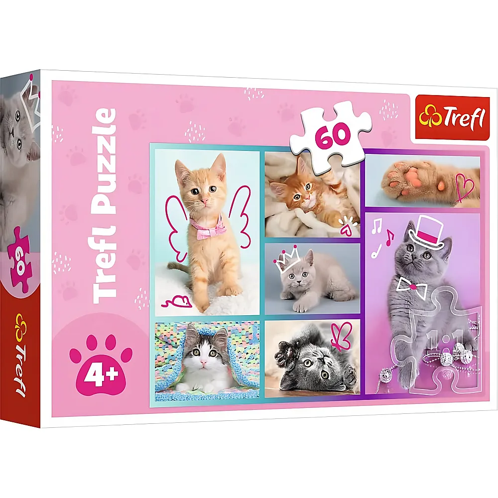 Trefl Puzzle Katzen, Collage - 60 Teile