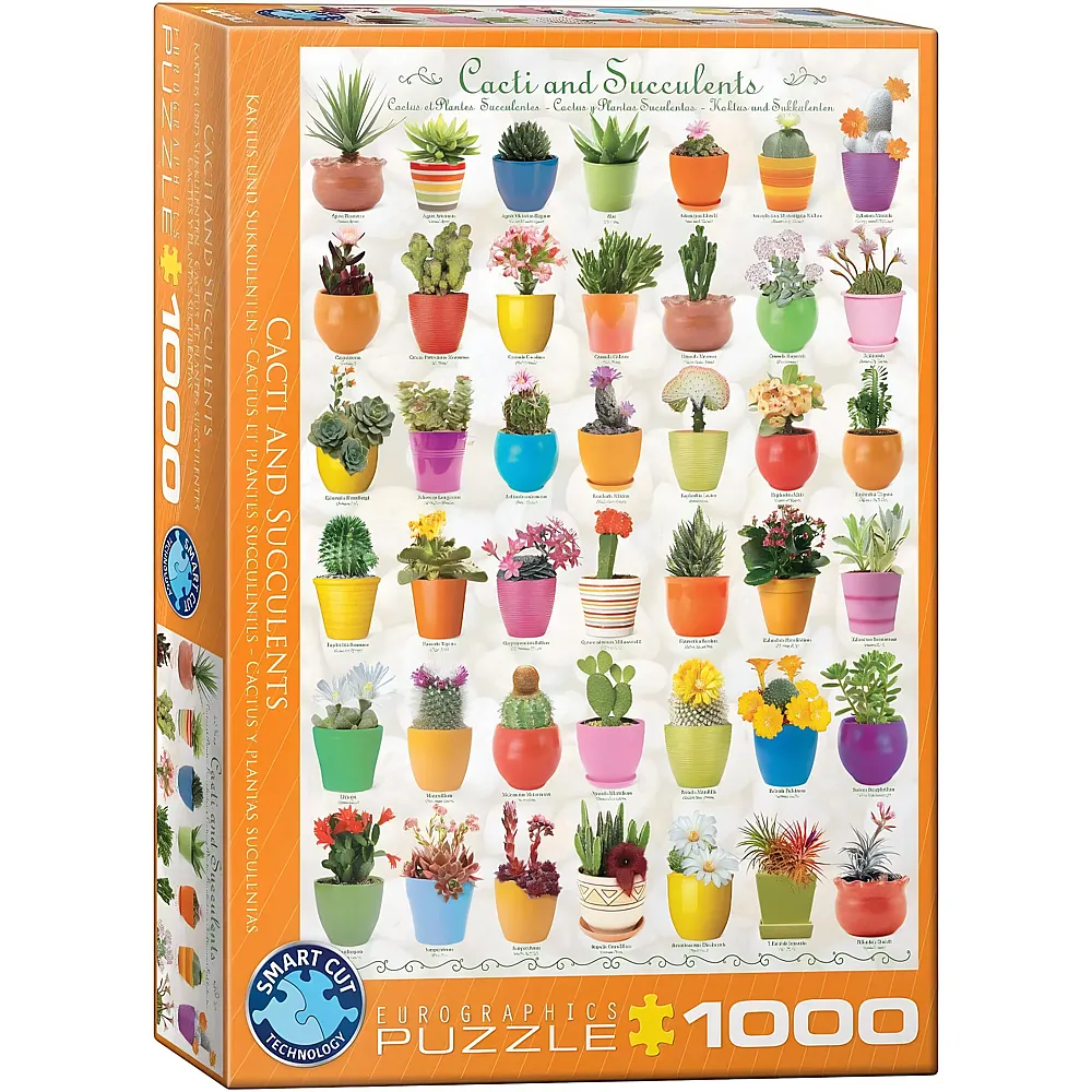 meinspielzeug - Eurographics Puzzle Kaktus und Sukkulenten 1000Teile | Puzzle 1000 Teile
