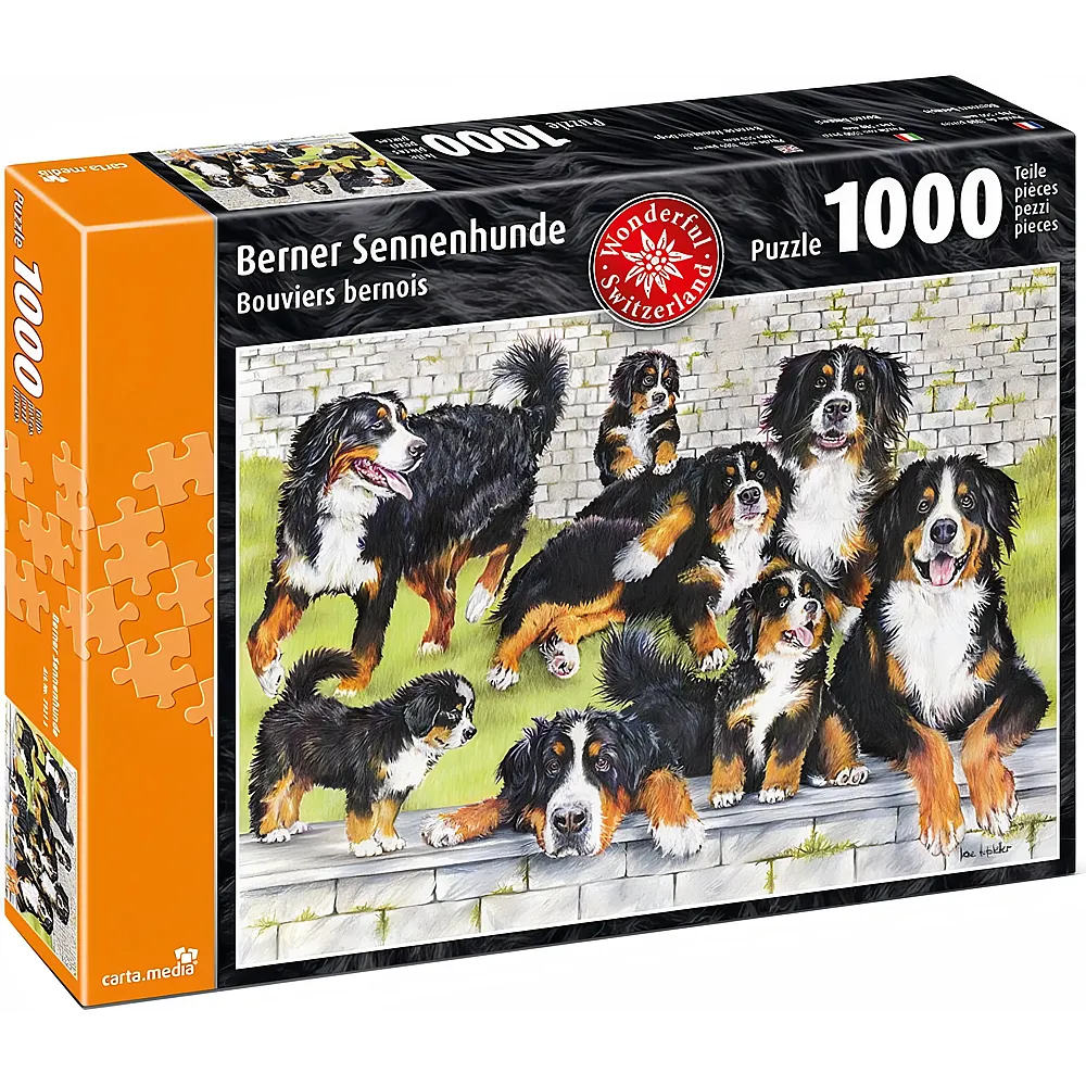 carta media Puzzle Berner Sennenhunde - 1000 Teile | Puzzle 1000 Teile