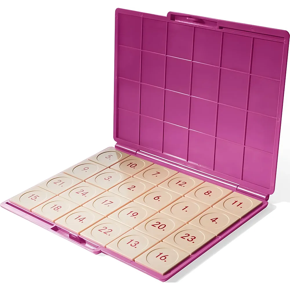 Westermann L�k Kontrollger�t kompakt pink | Lernspiele