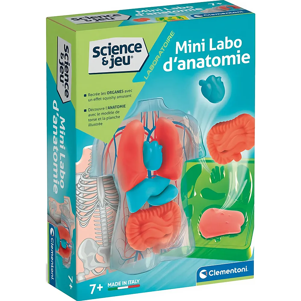 Clementoni science & jeu Mini Labo d'anatomie - Franais