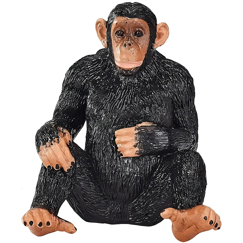 Mojo Wildlife Schimpanse