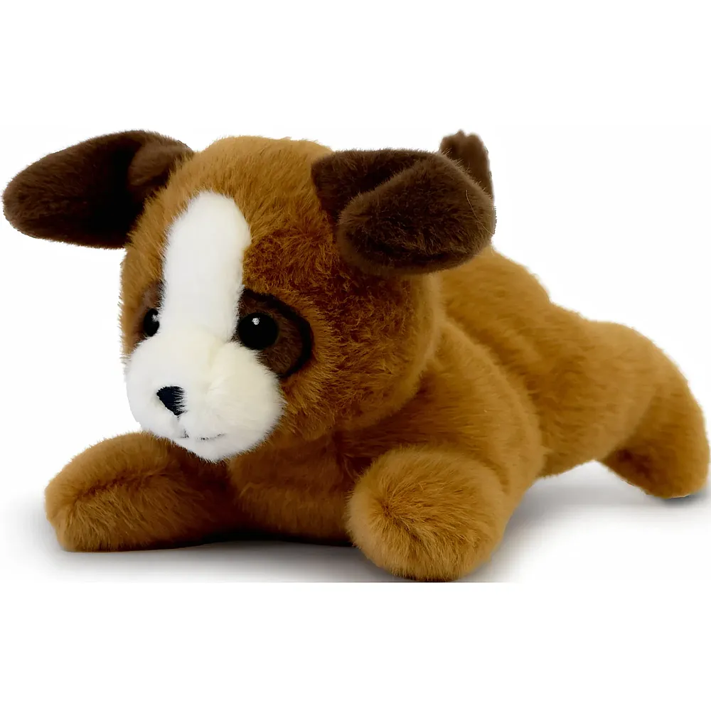 Doudou et Compagnie Hund liegend Braun - 22 cm | Hunde Pl�sch
