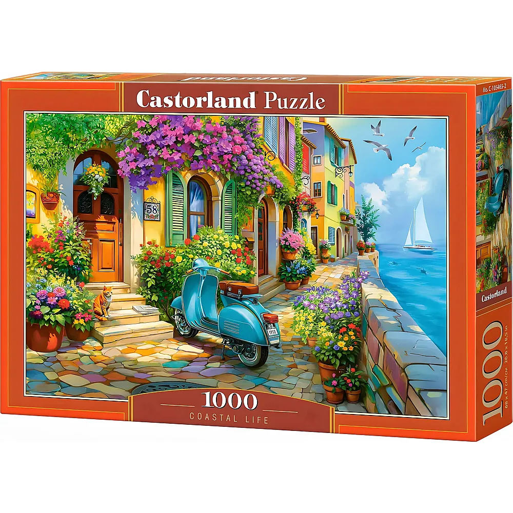 Castorland Puzzle Coastal Life - 1000 Teile