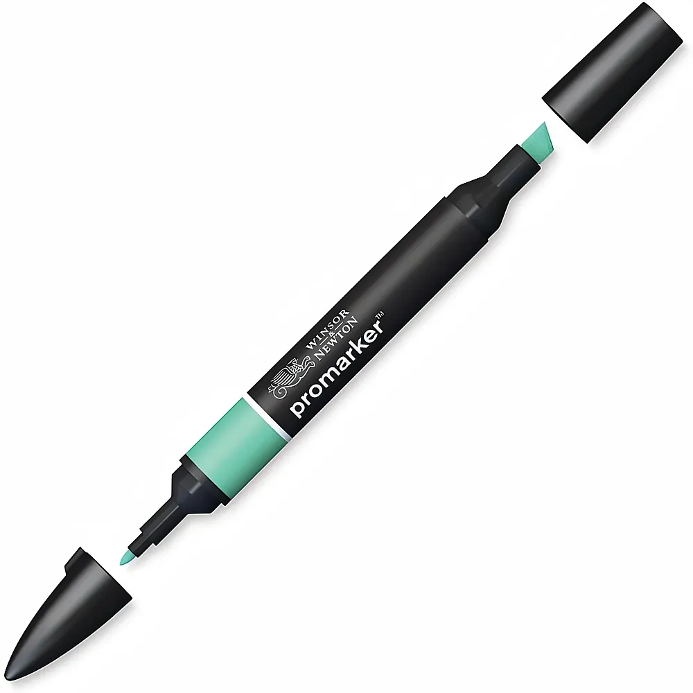 Winsor & Newton Promarker Stift mit 2 Spitzen Mintgr�n