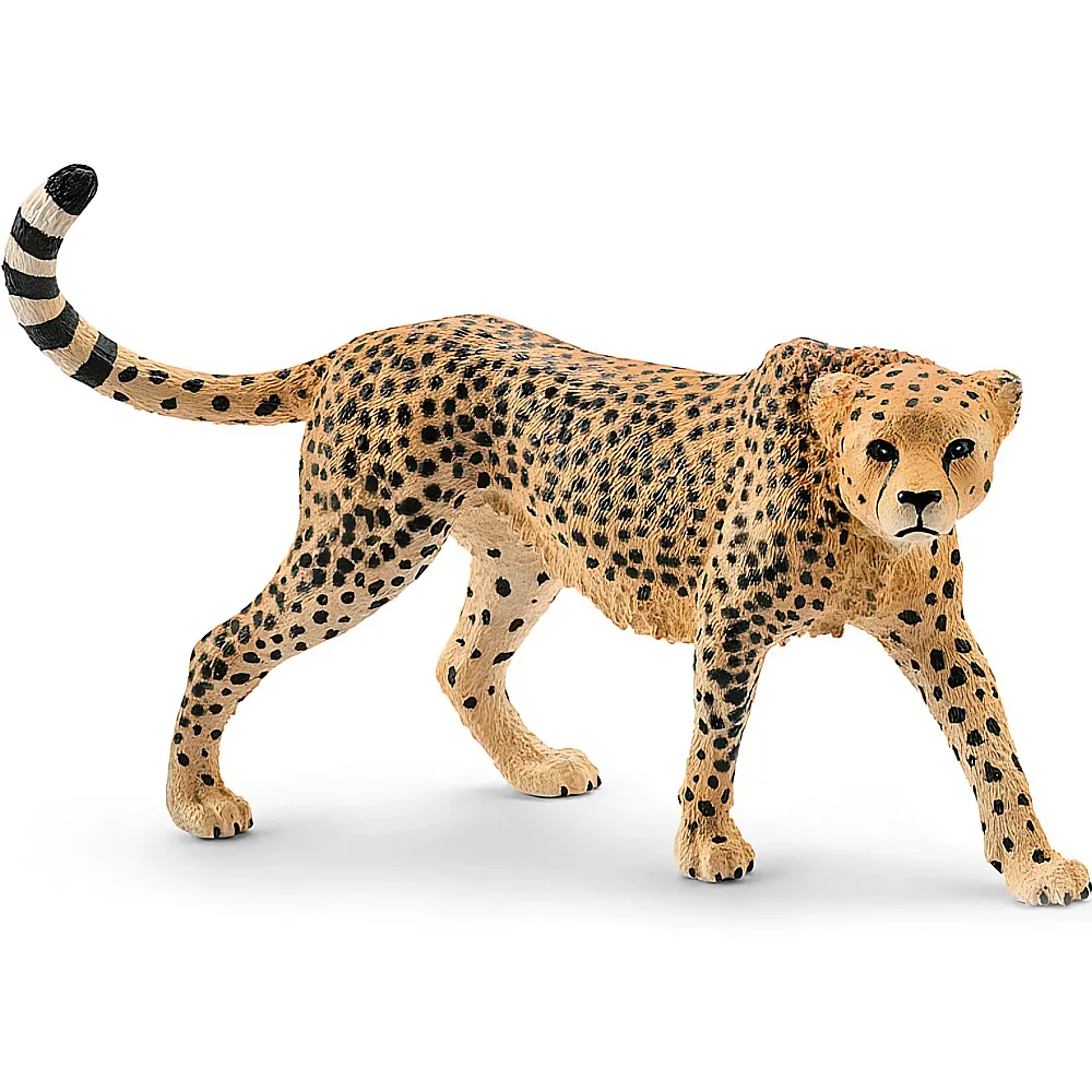 Schleich Wild Life Safari Gepardin | Wildtiere