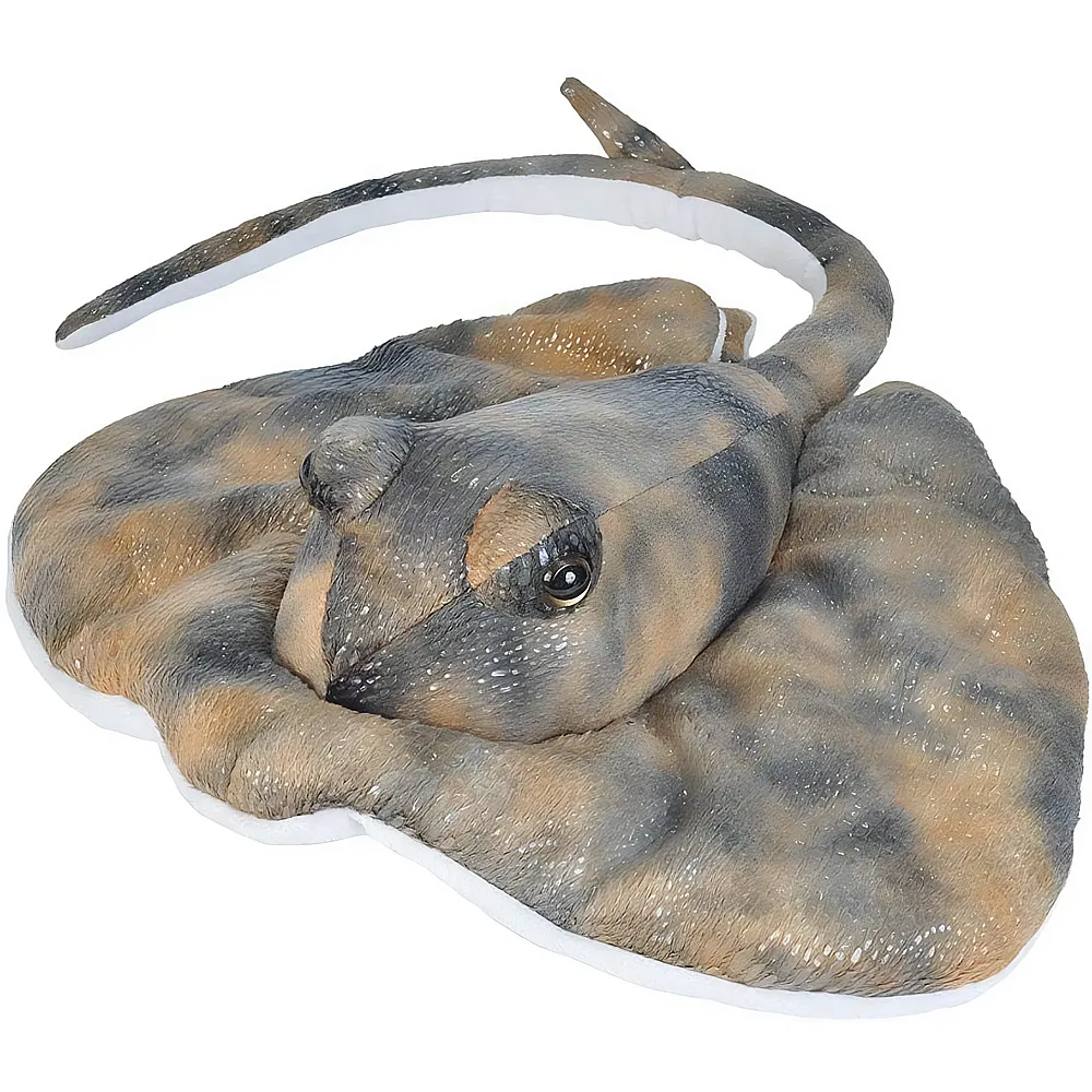 Wild Republic Aquatic Razza meridionale - 30 cm