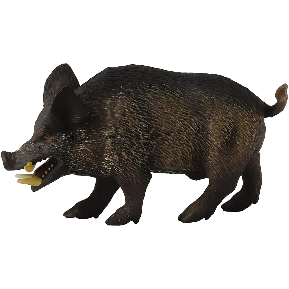 meinspielzeug - CollectA Wild Life Wildschwein Eber | Waldtiere