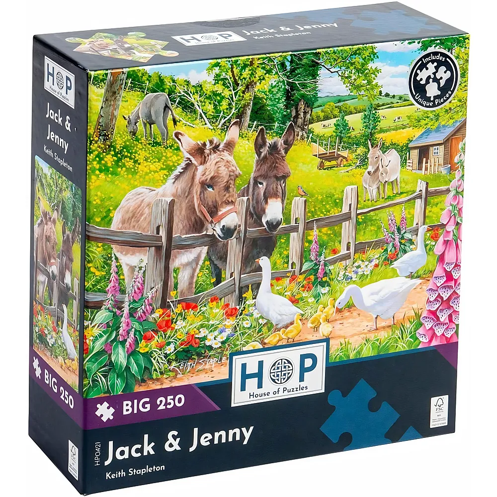HOP - House of Puzzles Jack & Jenny 250Teile