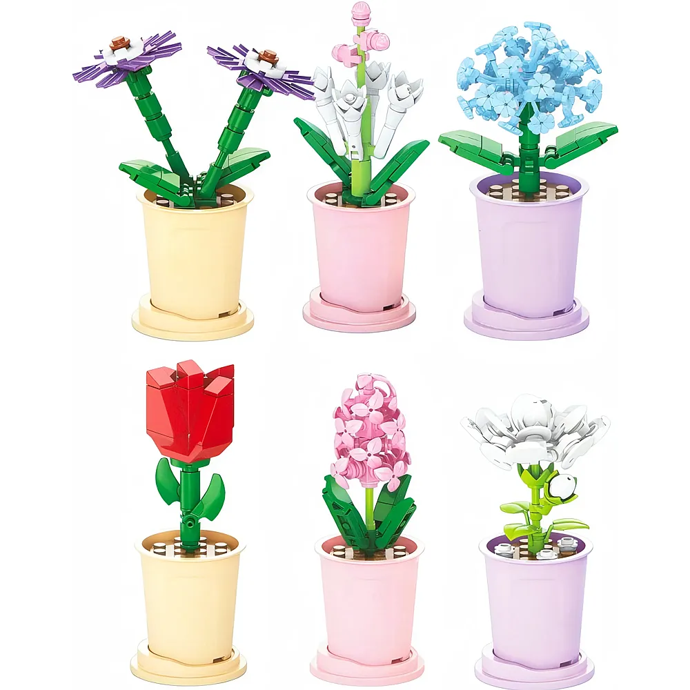 Sombo Steckblume im Topf, 13cm, ass.