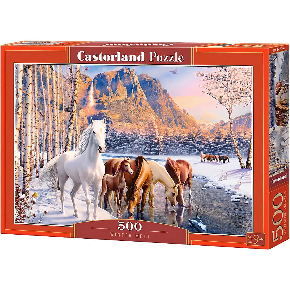 Castorland Puzzle Winter Melt 500Teile