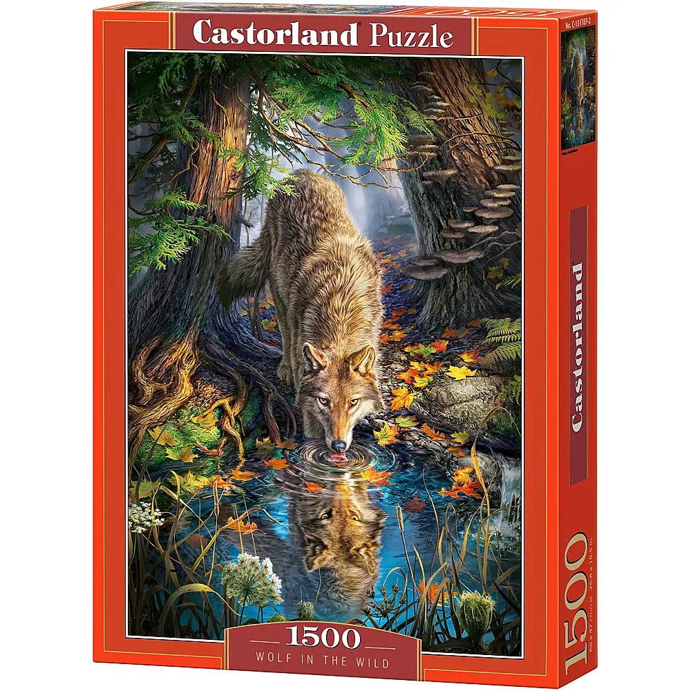 Castorland Puzzle Wolf in the Wild - 1500 Teile