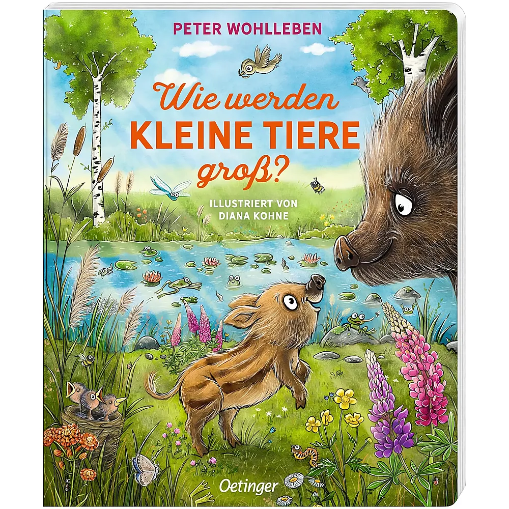 Oetinger Wie werden kleine Tiere gro