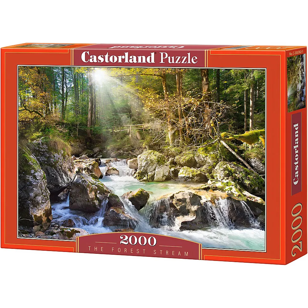 Castorland Puzzle Der Waldbach - 2000 Teile