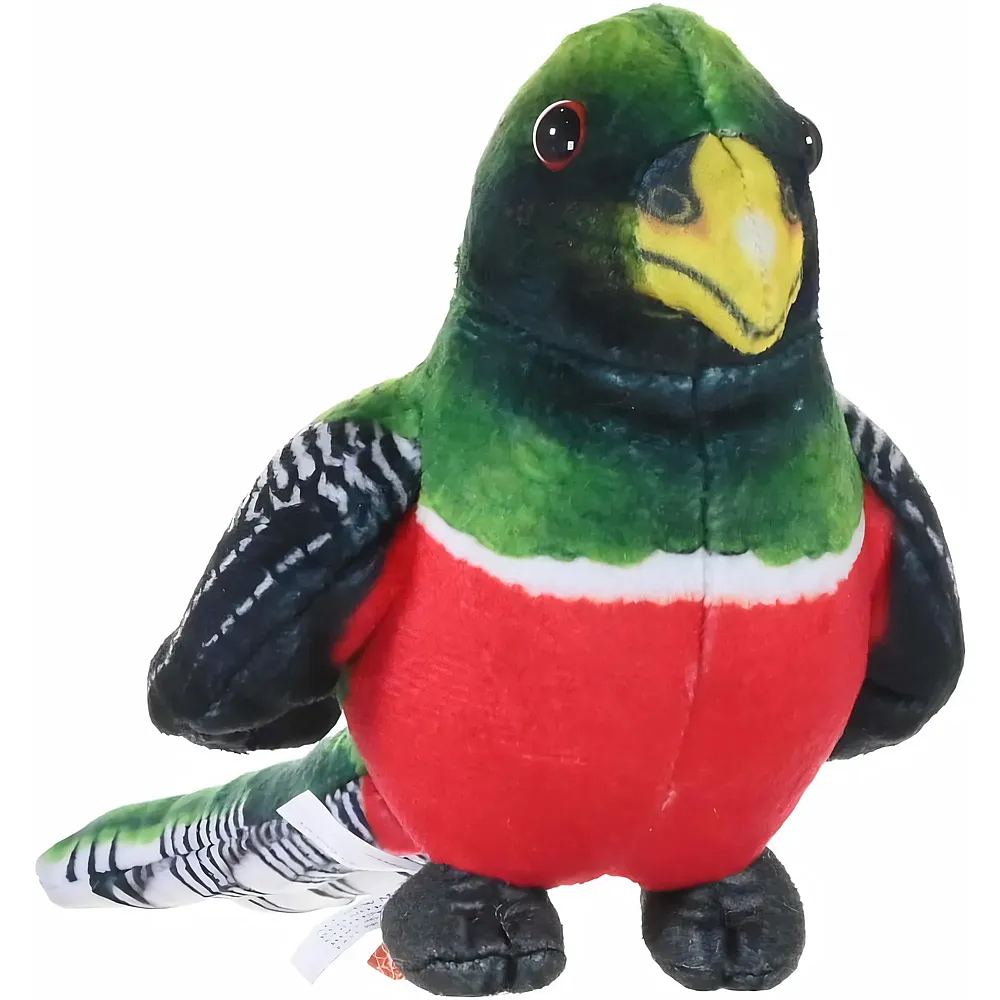 Wild Republic Rainforest Trogon dal collare - 11 cm - Marche