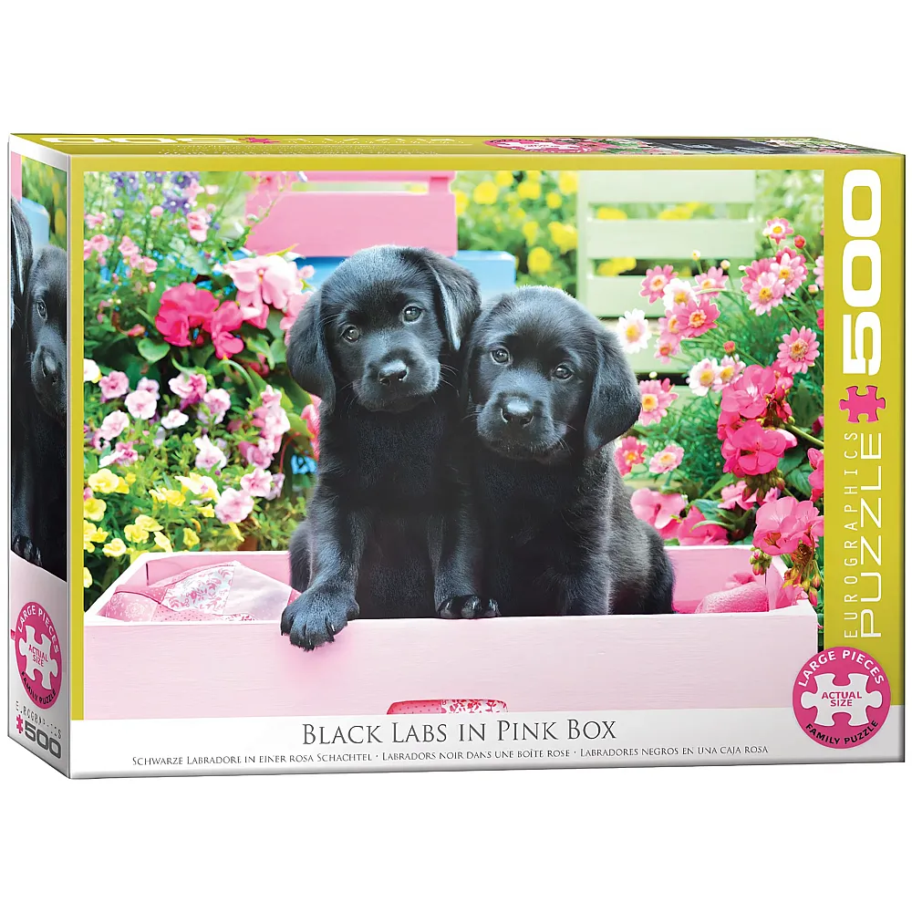 Eurographics Puzzle Black Labs in Pink Box - 500 Teile