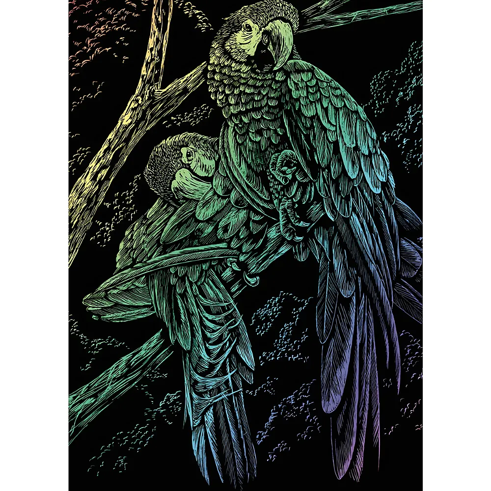 Royal & Langnickel R&l Gravures D'art Std Arc-en-ciel Oiseaux Exotiques 21.3x29 - Suche