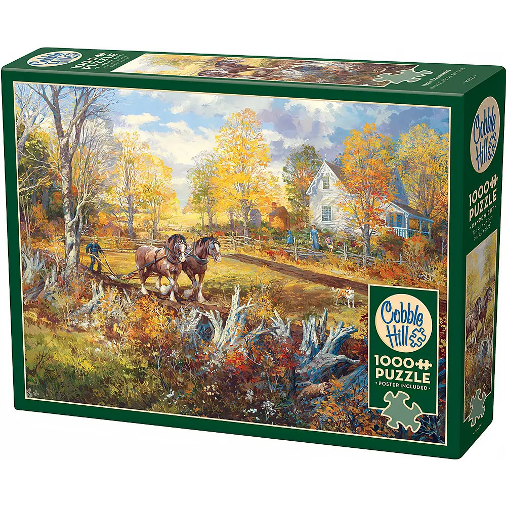 Cobble Hill Puzzle Neuanfang - 1000 Teile