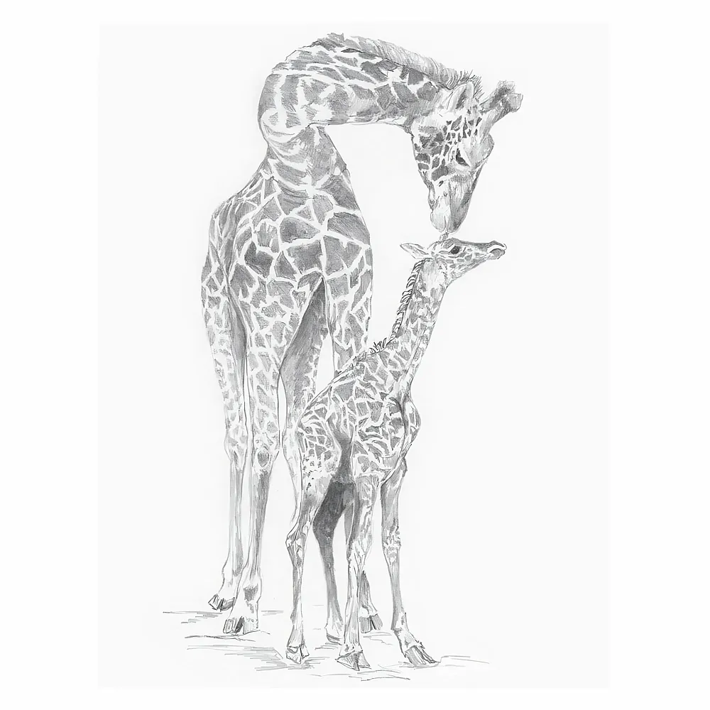 Royal & Langnickel R&l Sketching Std Girafes 24x33cm - Suche